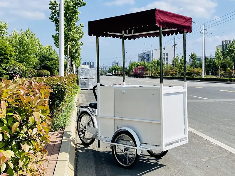 Biciclete alimentare